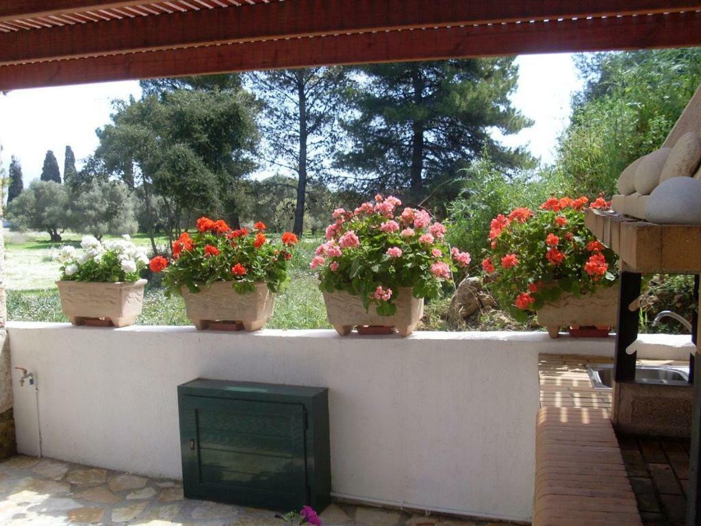 Villa Amelia Metaxáta Exteriör bild
